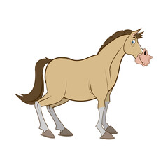 horse domestic animal, farming, agricultural species vector illustration