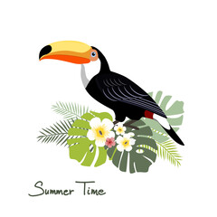 Toucan, vector illustration © lilam8