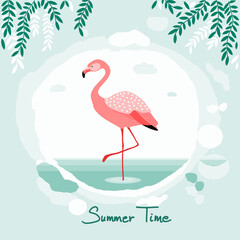 Flamingo, vector illustration