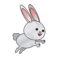 cute cartoon rabbit wildlife animal speed vector illustration