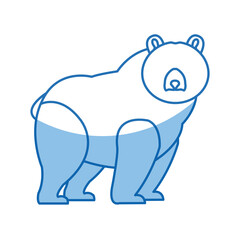 cartoon bear character wildlife animal carnivore design vector illustration