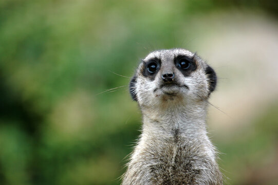 frau bodypart bauch mit piercing