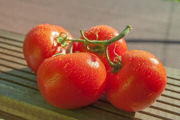 fresh wet tomatoes on wooden board in the sun close-up