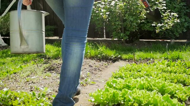 Slow motion video of young woman carrying watering can walking at backyard garden