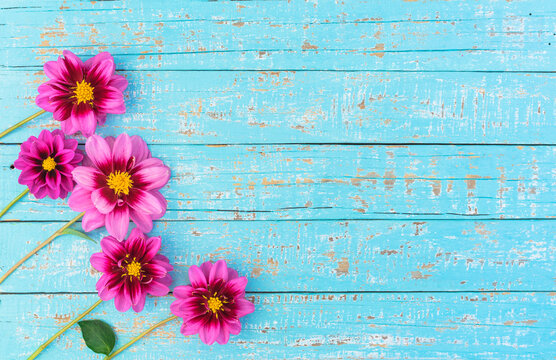 Fototapeta Sommer Blumen Rosa Blüten auf Holz Hintergrund Türkis