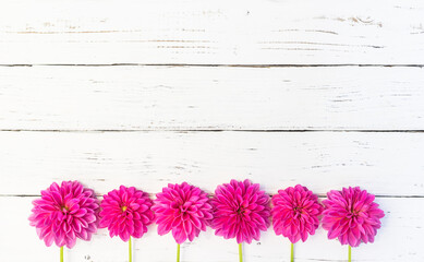 Rosa Sommer Blumen Geschenk Karte