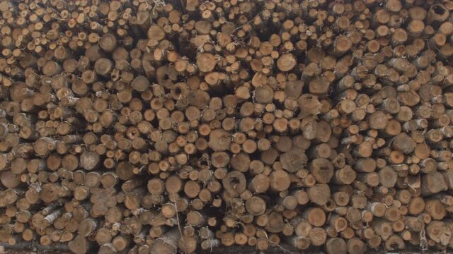 CLOSE UP: Detail of a beautiful natural pattern created with perfectly stacked pile of firewood lumber. Tree logs of different diameters cut, delimbed and prepared in large woodpile. Timber texture