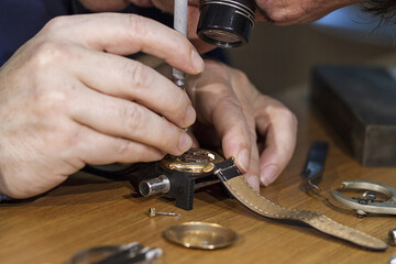 Watch repairing