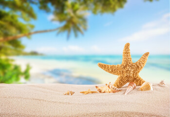 Naklejka na ściany i meble Tropical beach with sea star on sand, summer holiday background.