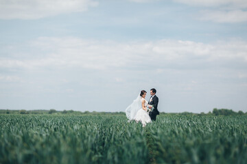 Fototapeta premium The beautiful couple in love embracing and standing on the field