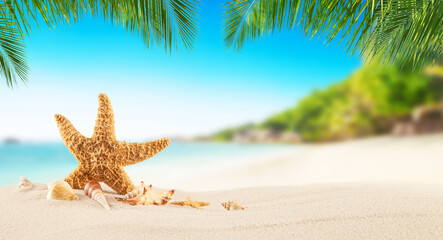 Fototapeta na wymiar Tropical beach with sea star on sand, summer holiday background.