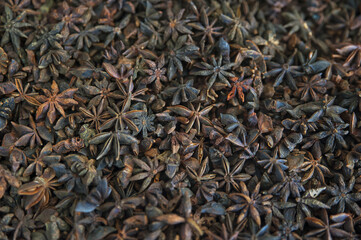 Intricate background of star anise seeds