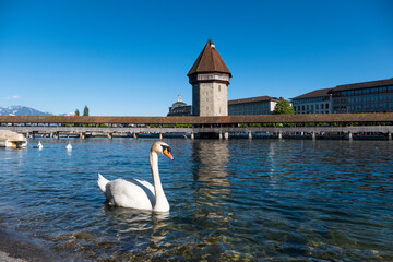 Famous Chapel bridge in Lucerne in a beautiful summer day, Switzerland