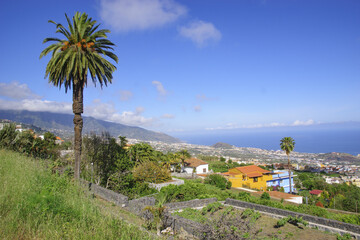 Fototapeta na wymiar Orotava Valley in Tenerife