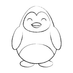 cute sketch draw penguin cartoon graphic design