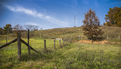 Fototapeta na wymiar Old weathered rustic fence on a bright vivid green meadow, Serbia landscape