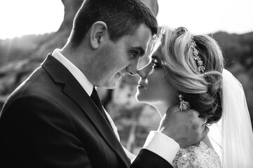 Sun shines over wedding couple hugging on the hill