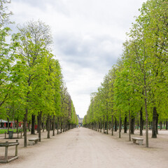 Fototapeta na wymiar Tuileries garden is a favorite place of tourists and Parisians. Tuileries is a public garden located between the Louvre Museum and the Place de la Concorde