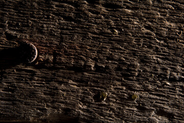 Background of an old wooden board with heads of nails