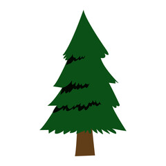 forest pine tree foliage natural trunk icon vector illustration