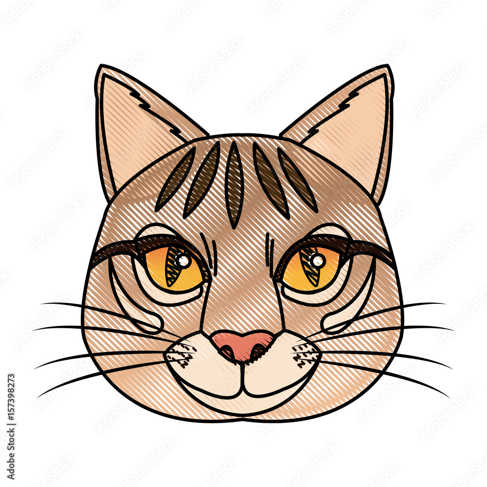 Canvas Prints head feline wildlife stripes animal icon vector illustration