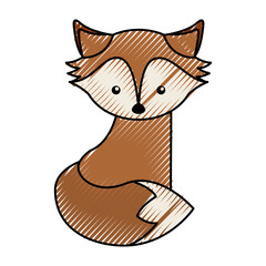 cute color scribble fox cartoon graphic design