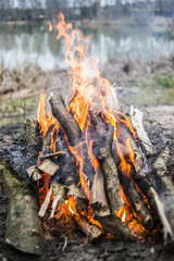 Campfire by the lake, summer time.