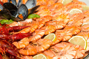 Boiled red crayfish with shrimps and seashells