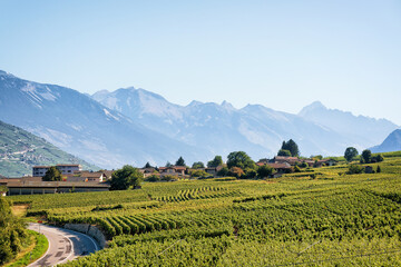 Fototapeta na wymiar Landscape of Sion with vineyards Bernese Alps mountains Valais Switzerland