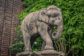 Obraz premium Elefant