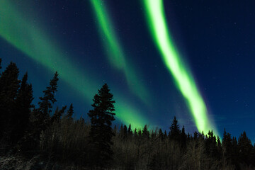 Bright Aurora borealis Northern Lights