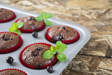 Freshly baked chocolate muffins with currant and mint in red forms on wooden table.