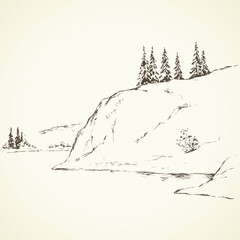 Firs on hill above river. Vector drawing