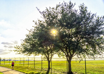 Sunset at the airport with jogger