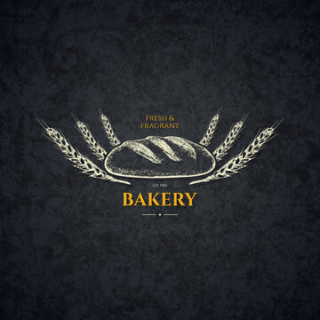 Vintage logotype for bakery and bread shop. Food and drinks logotype symbol design. Sketch style