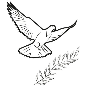 Vector image of a dove and olive branch
