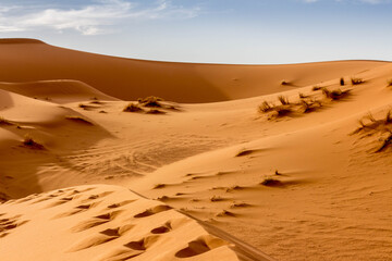 Sahara - Berber Camp