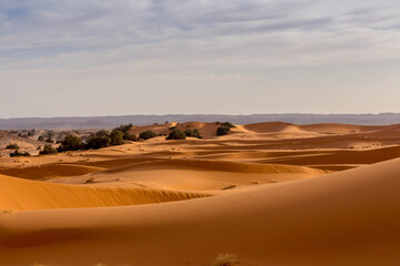 Fototapeta na wymiar Sahara - Dünen Weitblick
