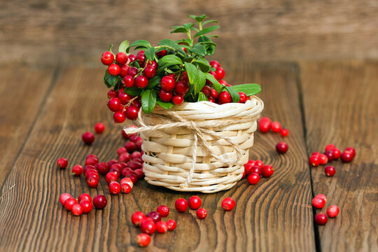 berries cranberries in wicker basket on wooden background