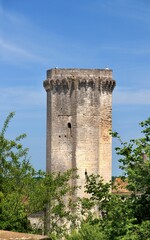 Fototapeta premium Bourdeilles.(Dordogne)