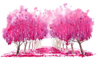 Blossom cherry tree alley. Spring landscape. Watercolor hand drawn illustration.