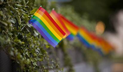 Reihe kleiner Regenbogenfahnen