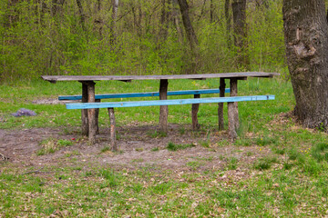 Picnic site wooden table and benches in forest park