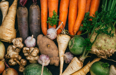 Root crops, carrots, parsley root, turnip, onion, garlic, Jerusalem artichoke, horseradish. Root crops background. Food background