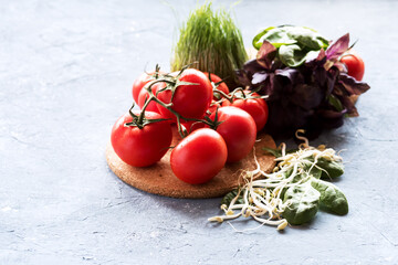 Variety of fresh vegetables and herbs Fresh red tomatoes are lying on wooden board Leaves of spinach and basil Mung bean sprouts Wheat grass