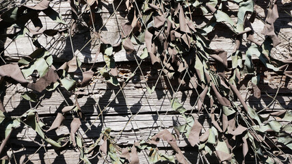 Wooden wall covered with camouflage mesh. Camouflage background