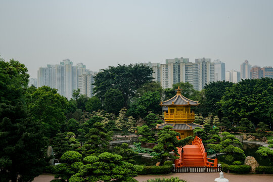 홍콩 난리안 가든 (nan lian garden)