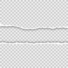 Ripped paper elements on a isolated background