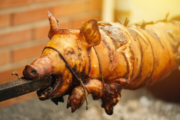 Pig roasted on a spit