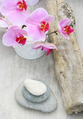orchidée rose,empilement de galets,ambiance zen sur fond bois 